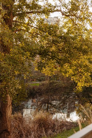 Foto - Te koop: De Klencke 87A, 1083 HH Amsterdam
